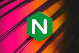 nginx 证书申请